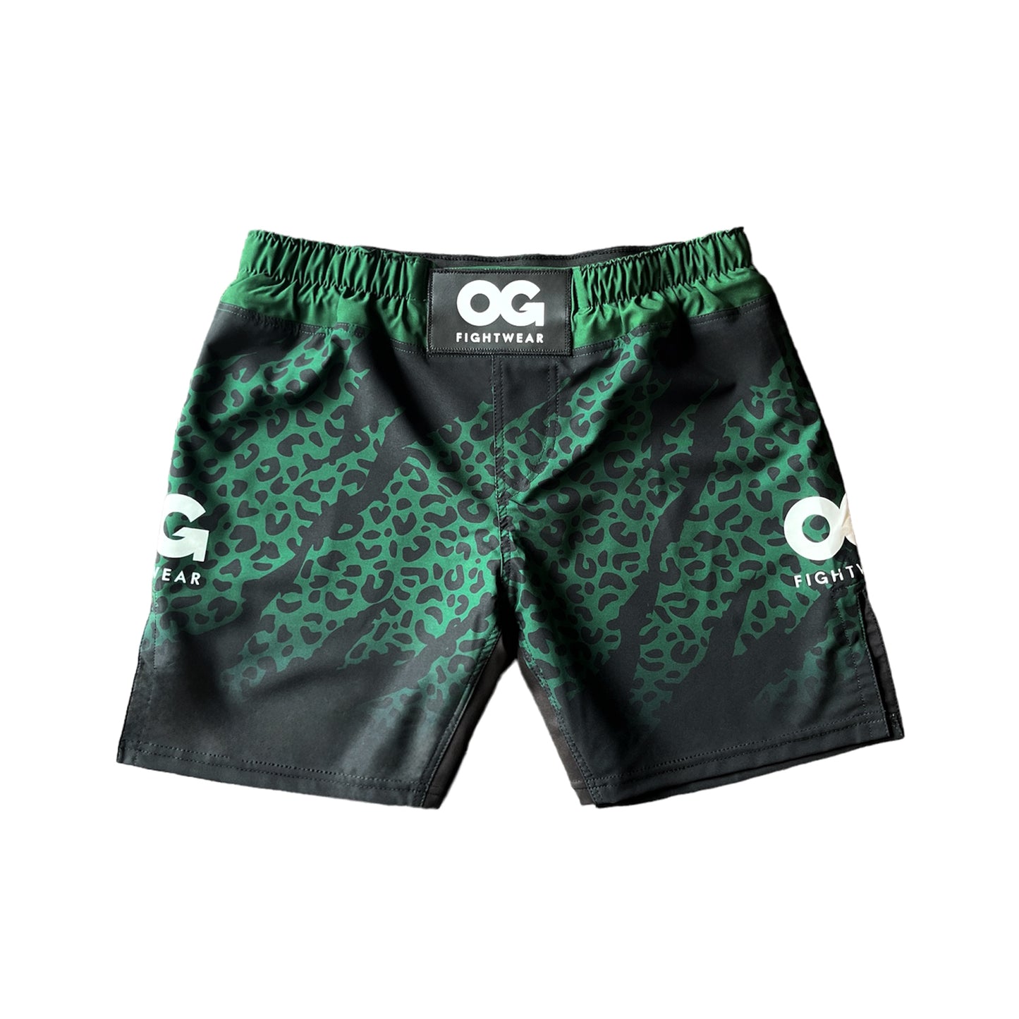 Jaguar MMA Shorts